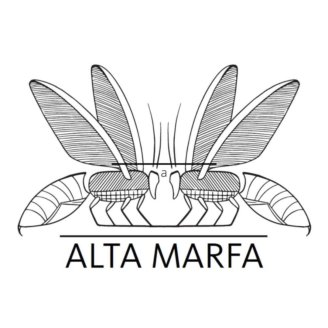 Alta Marfa, LLC